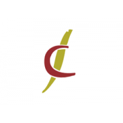 FLYING CARPET EXPRESS FORWARDING & CLEARING LLC