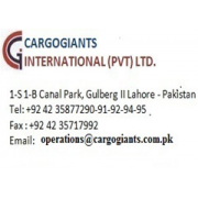 CARGOGIANTS INTERNATIONAL PVT LTD