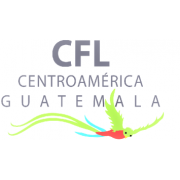 Customs, Freight And Logistics De Centro America, S.A.
