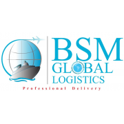 BSM GLOBAL LOGISTICS (T) LTD
