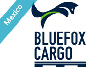 Bluefox Cargo Group SA de CV