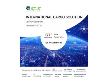 INTERNATIONAL CARGO SOLUTION