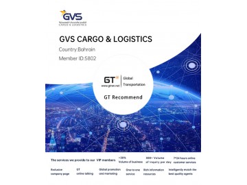 GVS CARGO & LOGISTICS