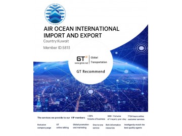 AIR OCEAN INTERNATIONAL IMPORT AND EXPORT